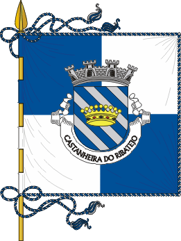 Bandeira (1x1) - Esquartelada de azul e branco, cordes e borlas de prata e azul. Haste e lana de ouro.